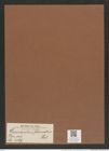 Hemiaulus februatus Heib. (de-Toni-Nr.: Genus 117, Species 3369) Zeichnungen Sammlung Grunow Mappe 03575 (Herbarium_W_Grunow_drawings_Folder_03575)